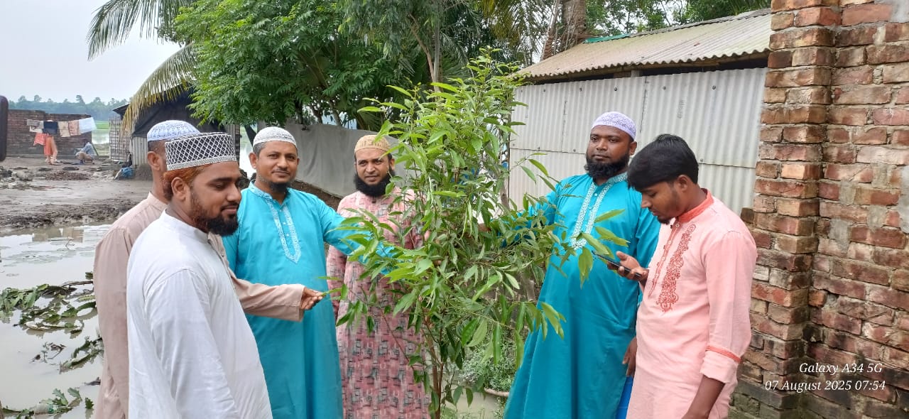 আটুলিয়ায় জামায়াতে ইসলামী যুব ও ক্রীড়া বিভাগের উদ্যোগে বৃক্ষরোপণ কর্মসূচি