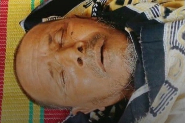 শ্যামনগরের কৈখালীতে ভীমরুলের কামড়ে কৃষকের মর্মান্তিক মৃত্যু